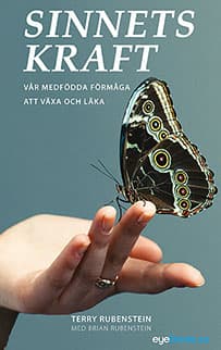 Sinnets Kraft (Bok)
