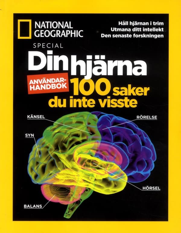 Din Hjärna (Bok)