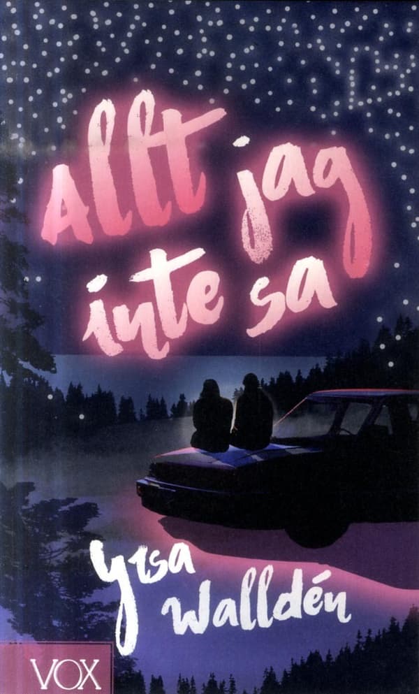 Allt Jag Inte Sa (Bok)