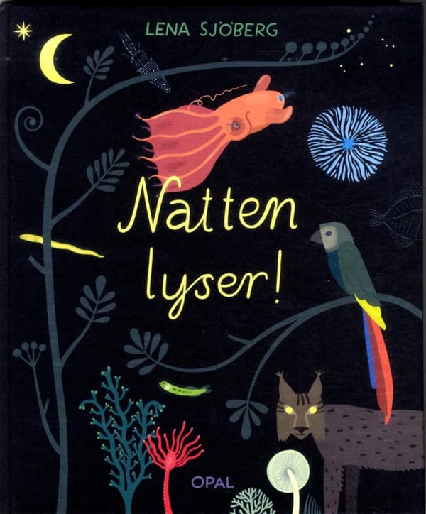 Natten Lyser! (Bok)