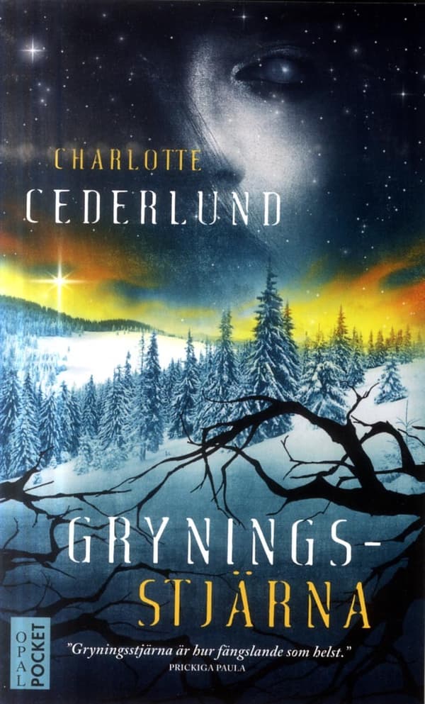 Gryningsstjärna (Bok)