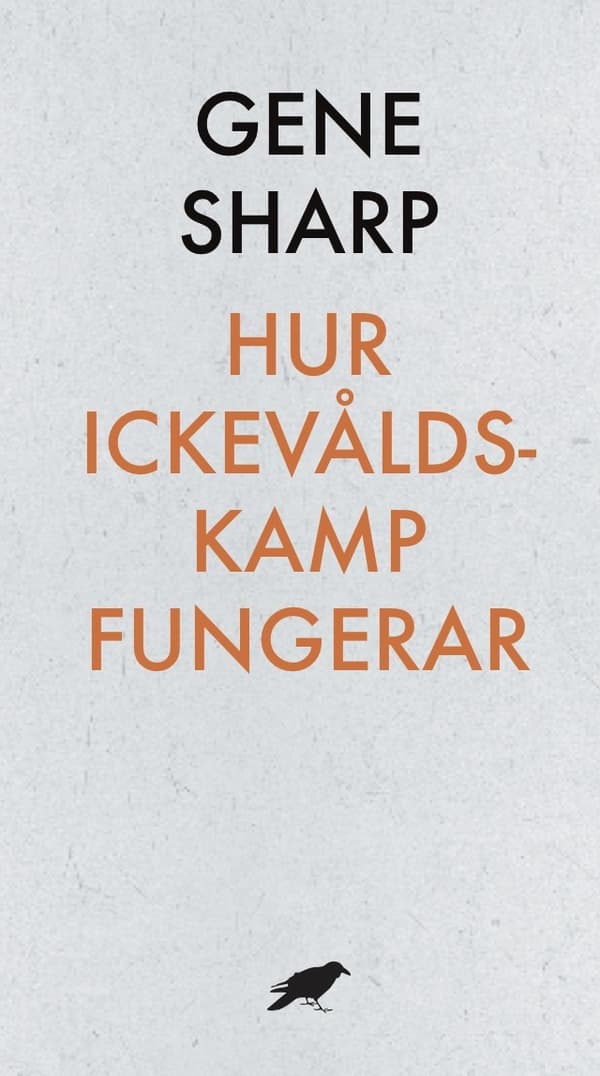 Hur Ickevåldskamp Fungerar (Bok)