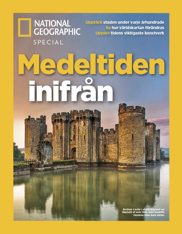 Medeltiden Inifrån (Bok)