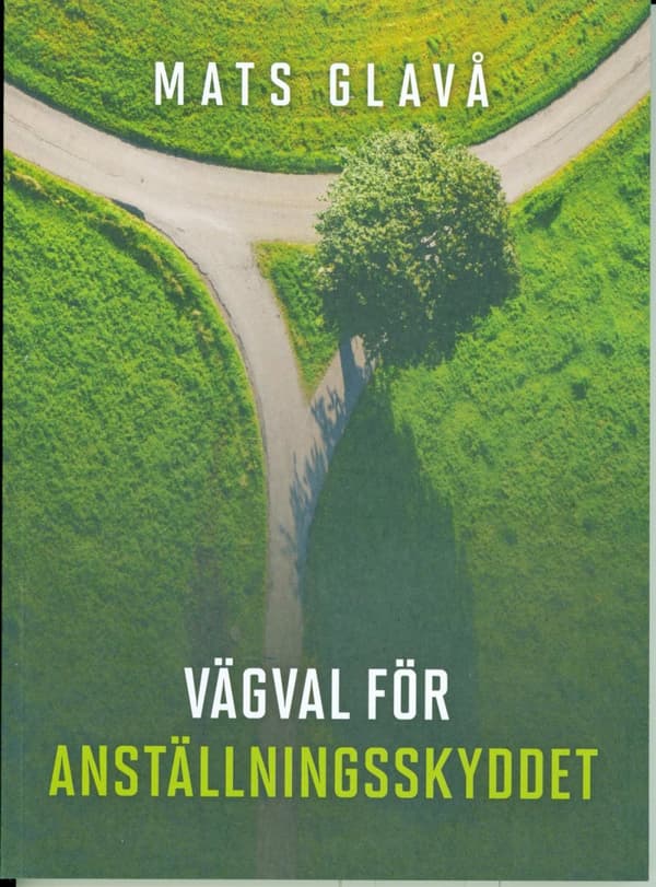 Vägval För Anställningsskyddet (Bok)