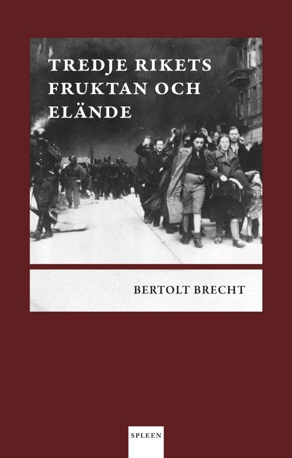 Tredje Rikets Fruktan Och Elände (Bok)