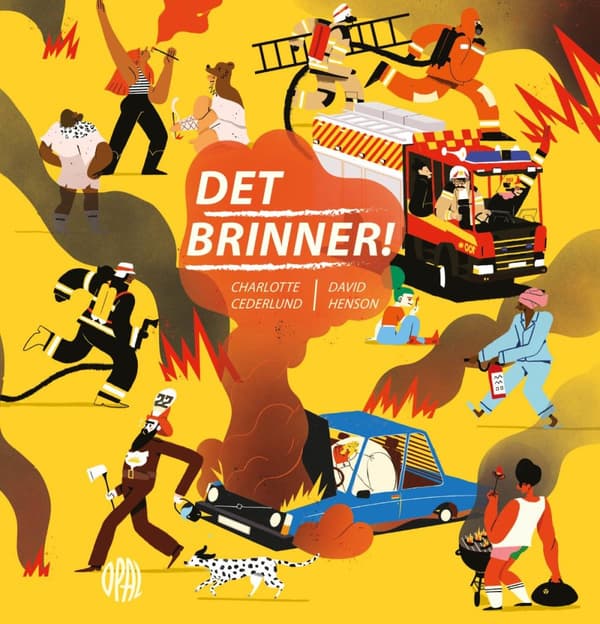 Det Brinner! (Bok)