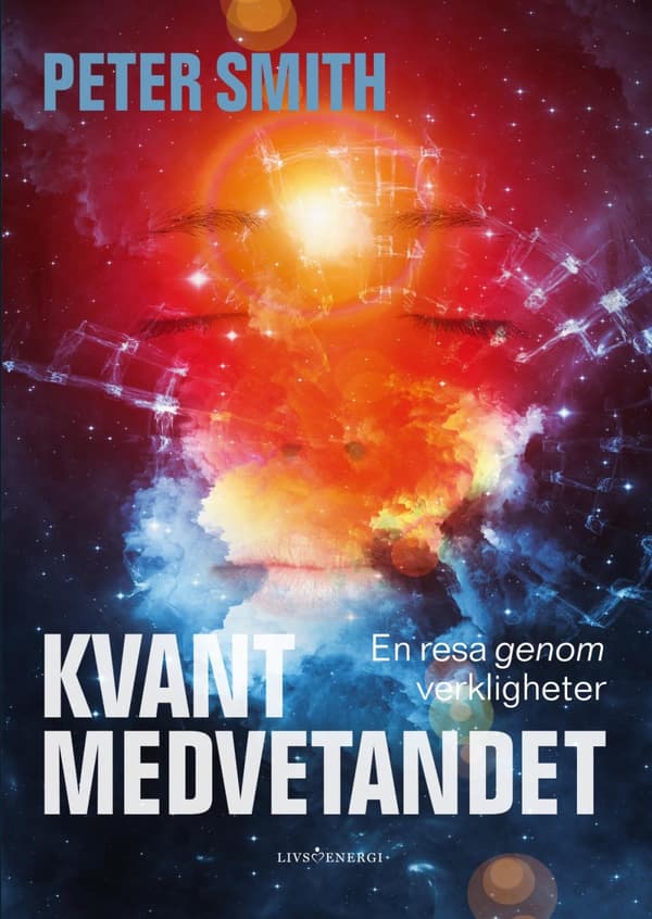 Kvantmedvetandet - En Resa Genom Verkligheter (Bok)