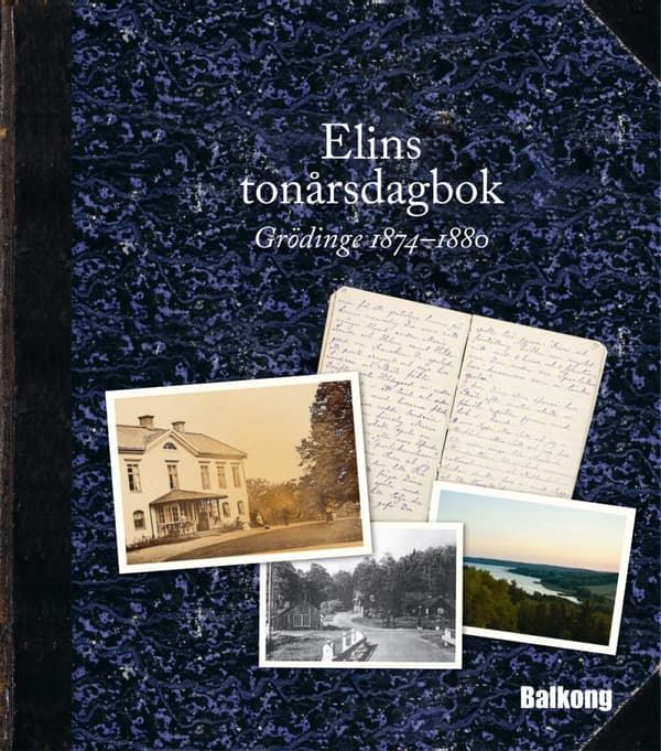 Elins Tonårsdagbok - Grödinge 1874-1880 (Bok)