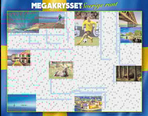 Megakrysset (Bok)
