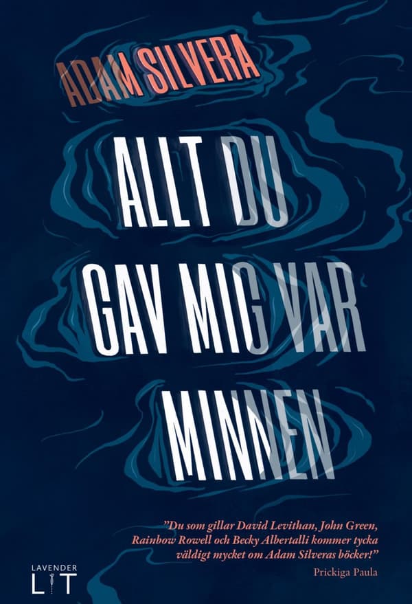 Allt Du Gav Mig Var Minnen (Bok)