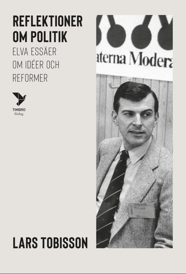 Reflektioner Om Politik - Elva Essäer Om Idéer Och Reformer (Bok)