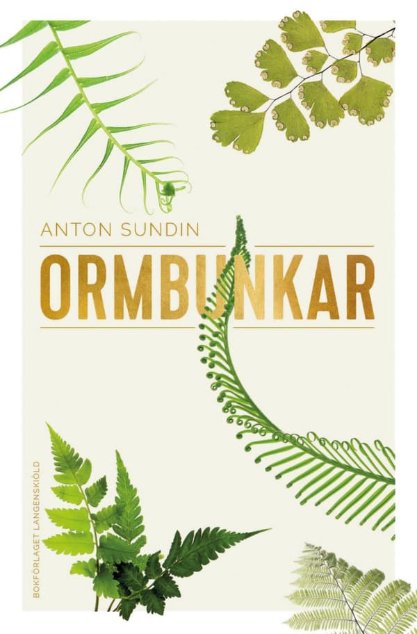 Ormbunkar (Bok)