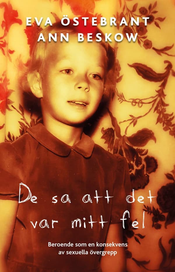 De Sa Att Det Var Mitt Fel (Bok)