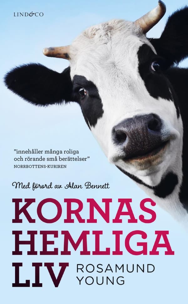 Kornas Hemliga Liv (Bok)
