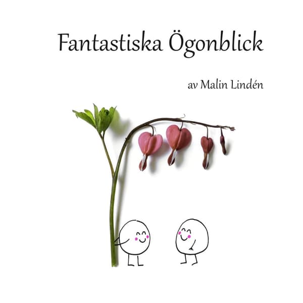 Fantastiska Ögonblick (Bok)