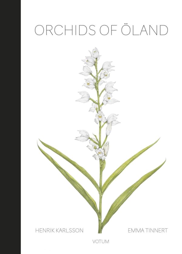 Orchids Of Öland (Bok)