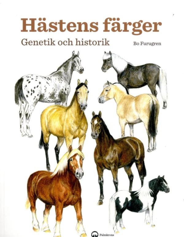 Hästens Färger - Genetik Och Historik (Bok)