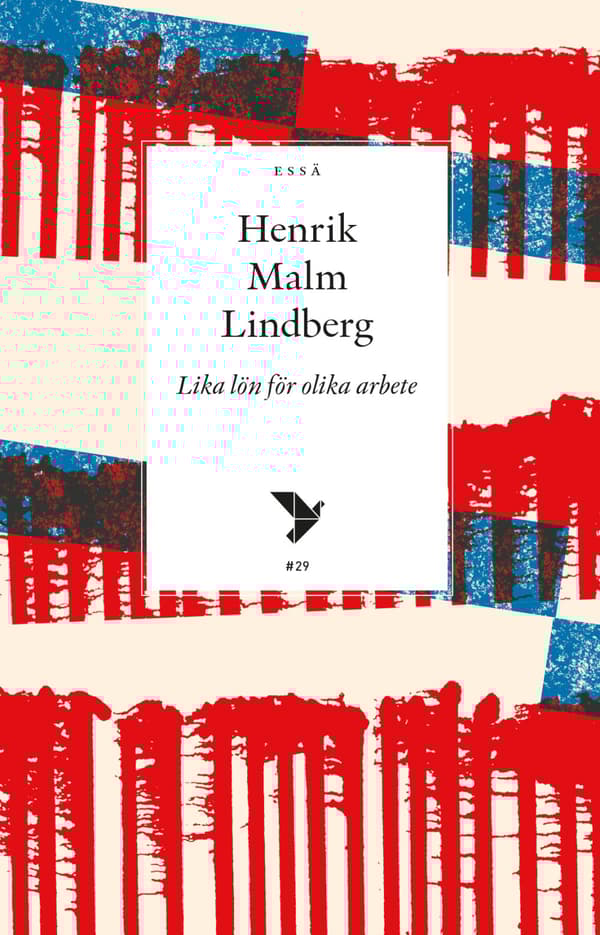 Lika Lön För Olika Arbete (Bok)