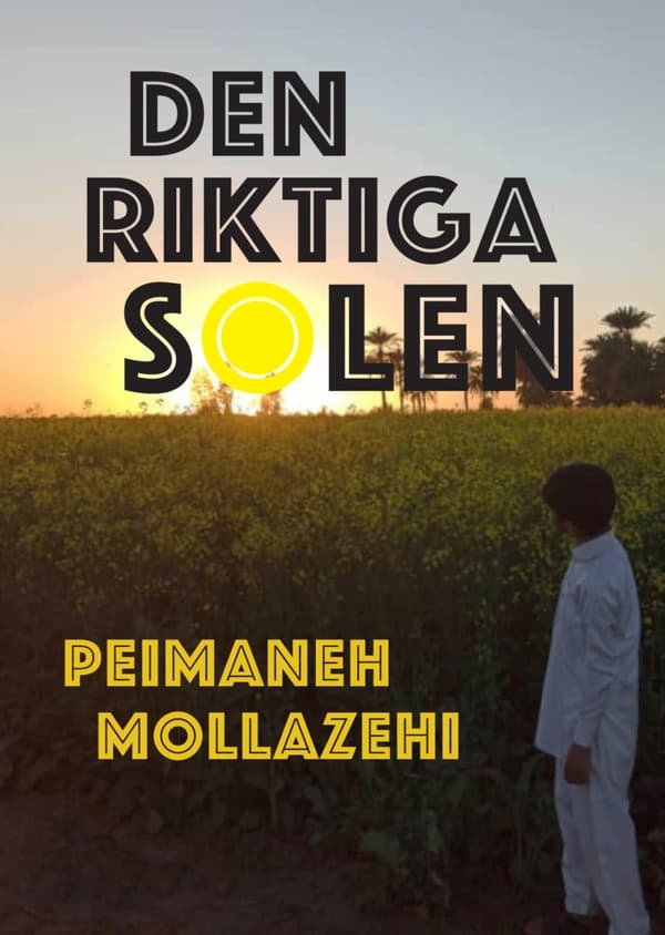 Den Riktiga Solen (Bok)