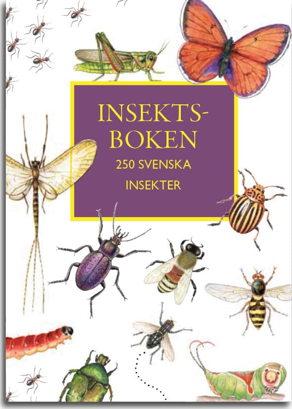 Insektboken - 250 Svenska Insekter (Bok)