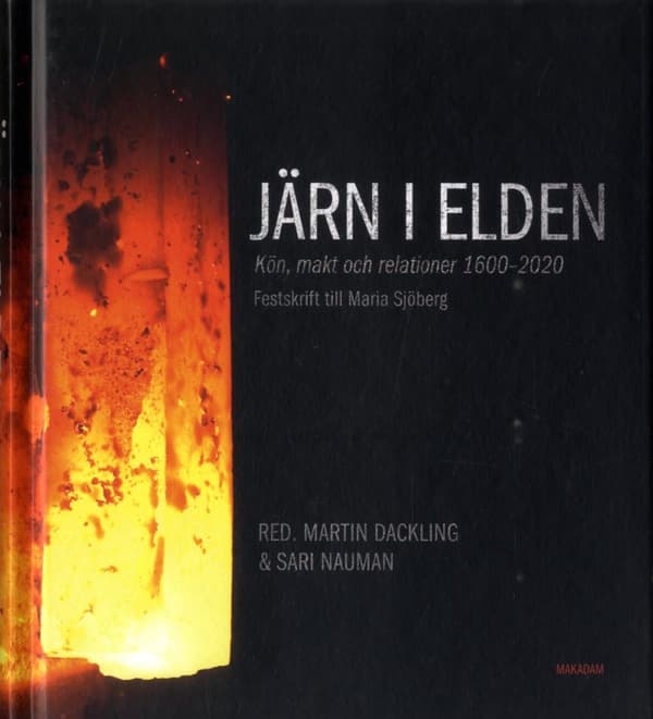 Järn I Elden - Kön, Makt Och Relationer 1600-2020 (Bok)