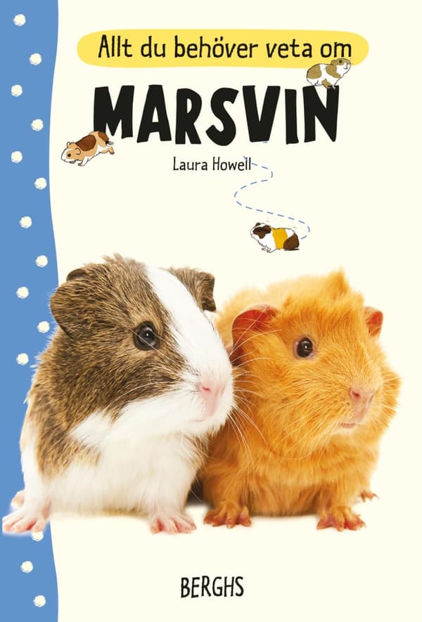 Allt Du Behöver Veta Om Marsvin (Bok)