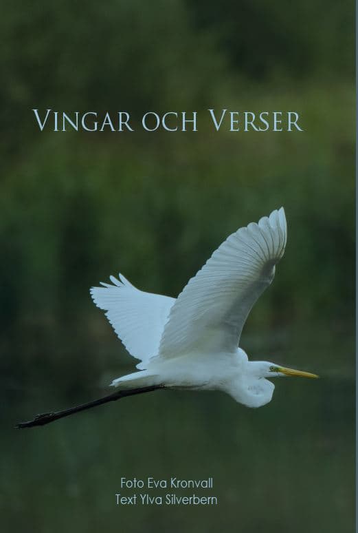 Vingar Och Verser (Bok)