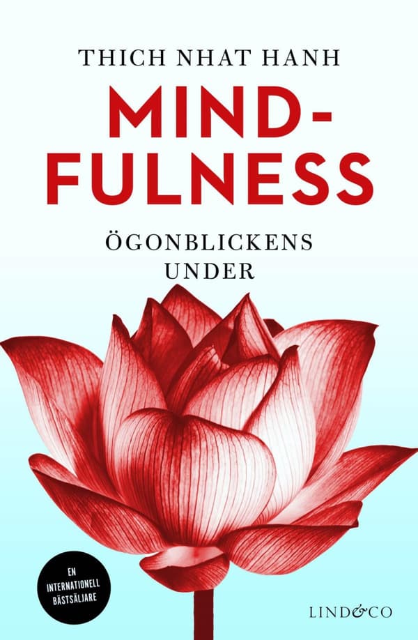 Mindfulness - Ögonblickens Under (Bok)