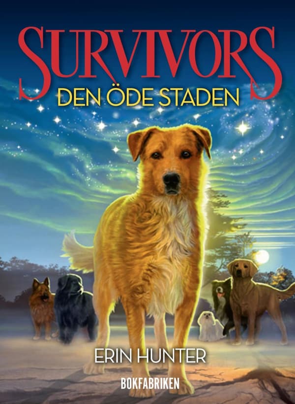Den Öde Staden (Bok)