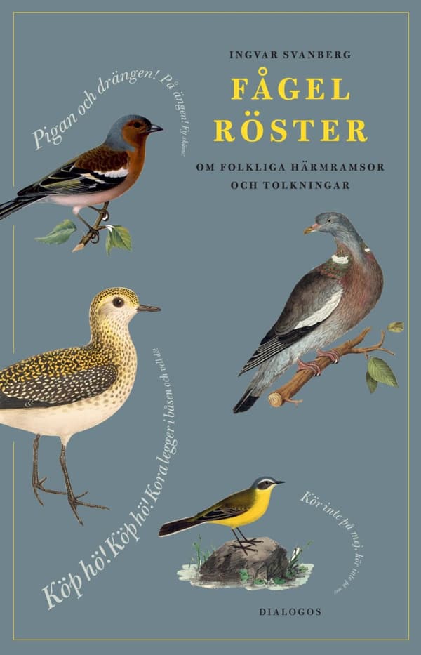 Fågelröster - Om Folkliga Härmramsor Och Tolkningar (Bok)
