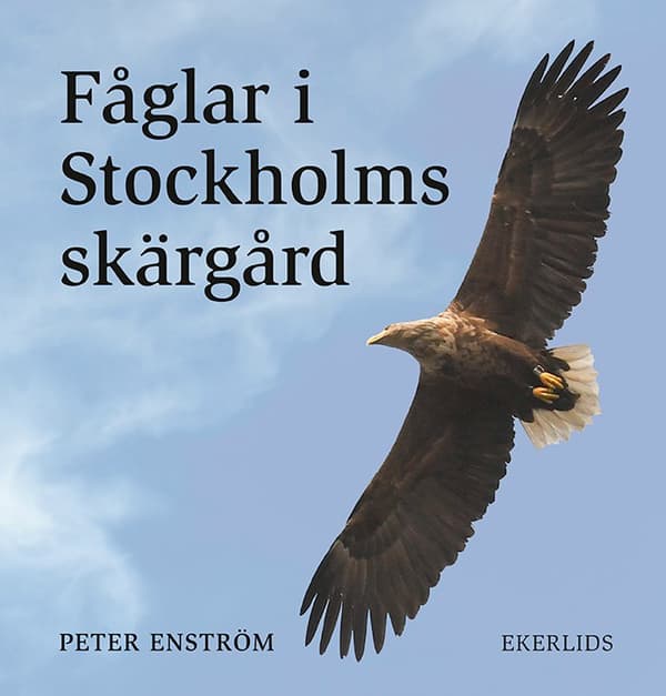 Fåglar I Stockholms Skärgård (Bok)