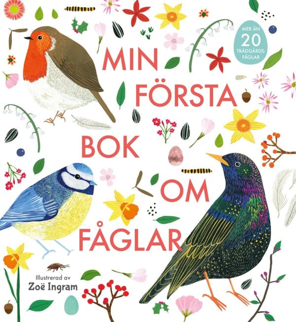 Min Första Bok Om Fåglar (Bok)