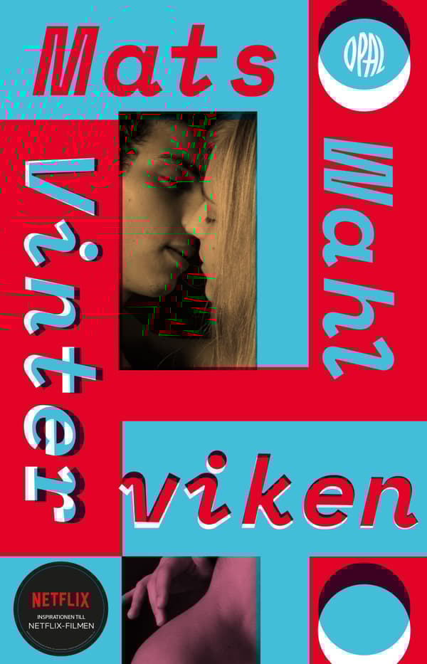 Vinterviken (Bok)