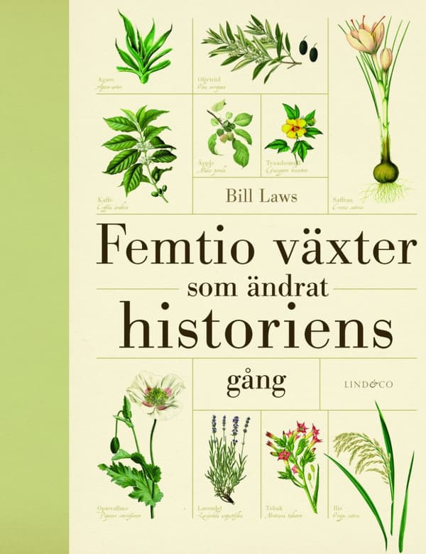 Femtio Växter Som Ändrat Historiens Gång (Bok)