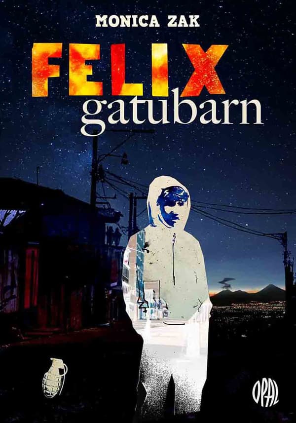 Felix Gatubarn (Bok)