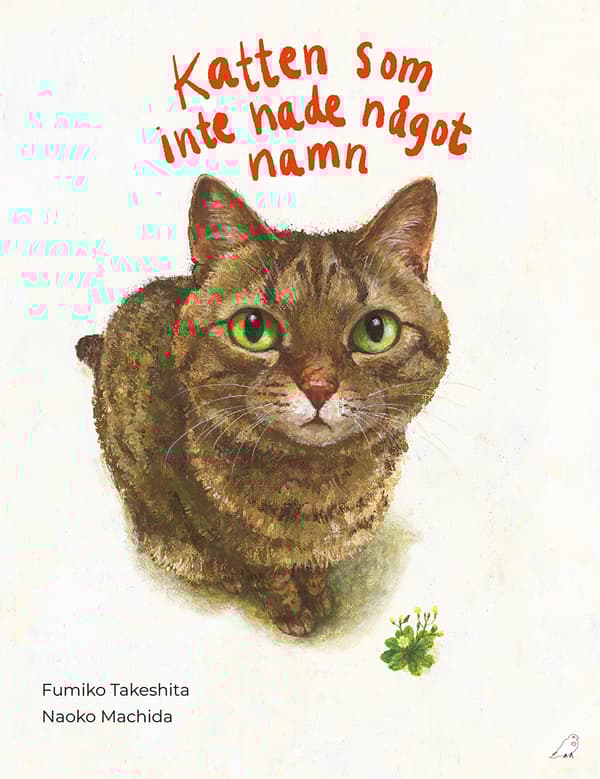 Katten Som Inte Hade Något Namn (Bok)