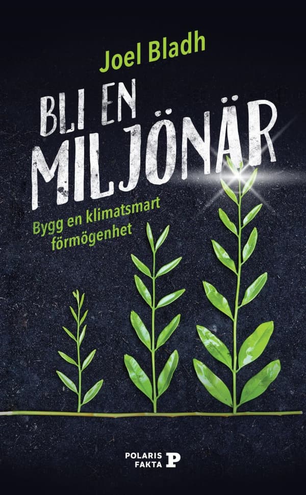 Bli En Miljönär - Bygg En Klimatsmart Förmögenhet (Bok)