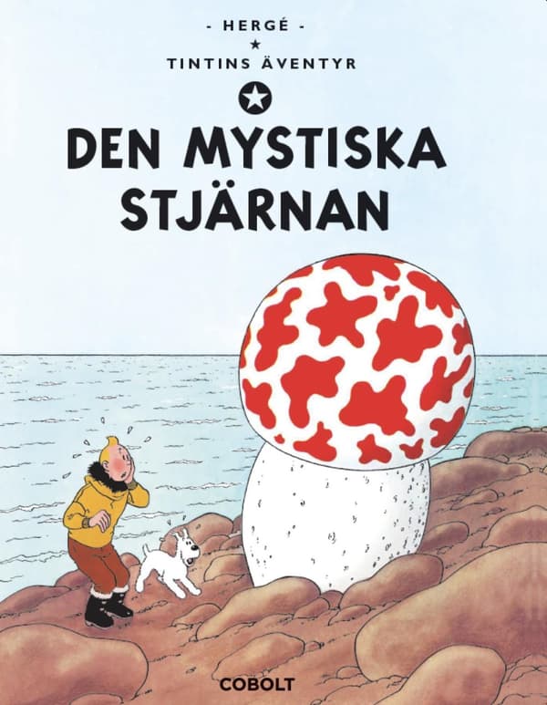 Den Mystiska Stjärnan (Bok)