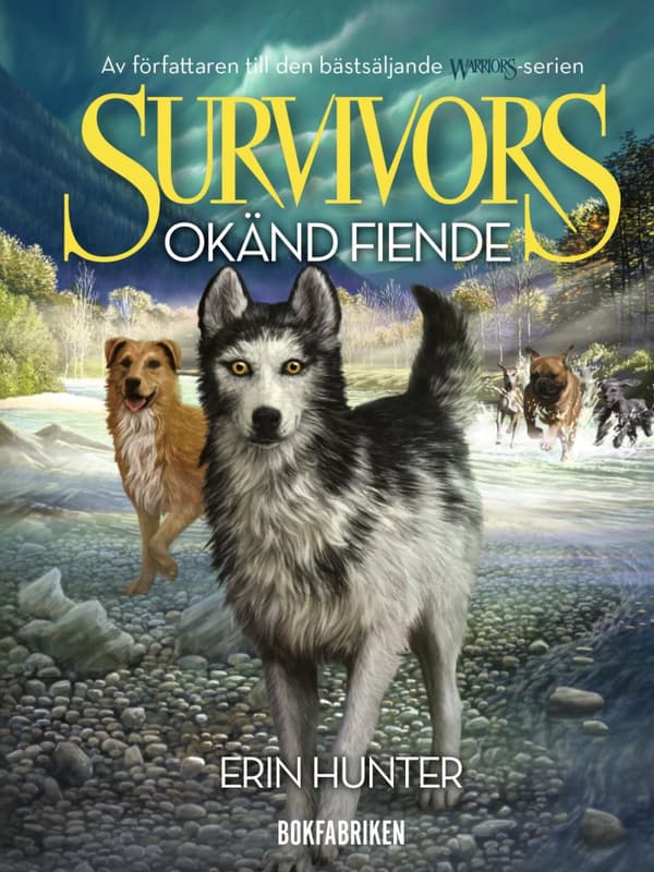 Okänd Fiende (Bok)