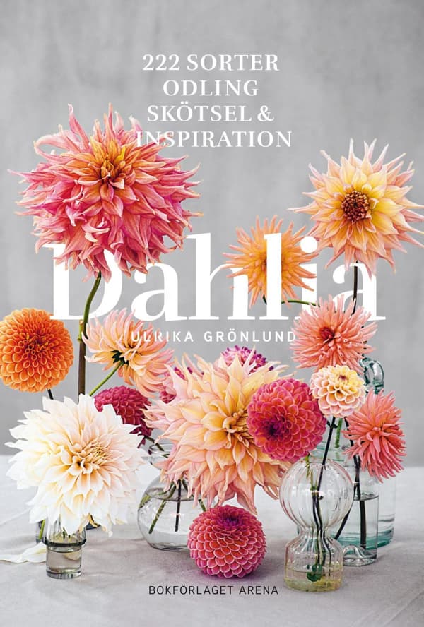 Dahlia - 222 Sorter, Odling, Skötsel Och Inspiration (Bok)