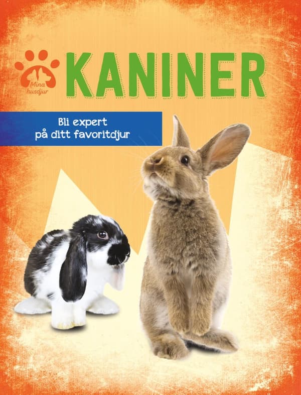Kaniner - Bli Expert På Ditt Favoritdjur (Bok)