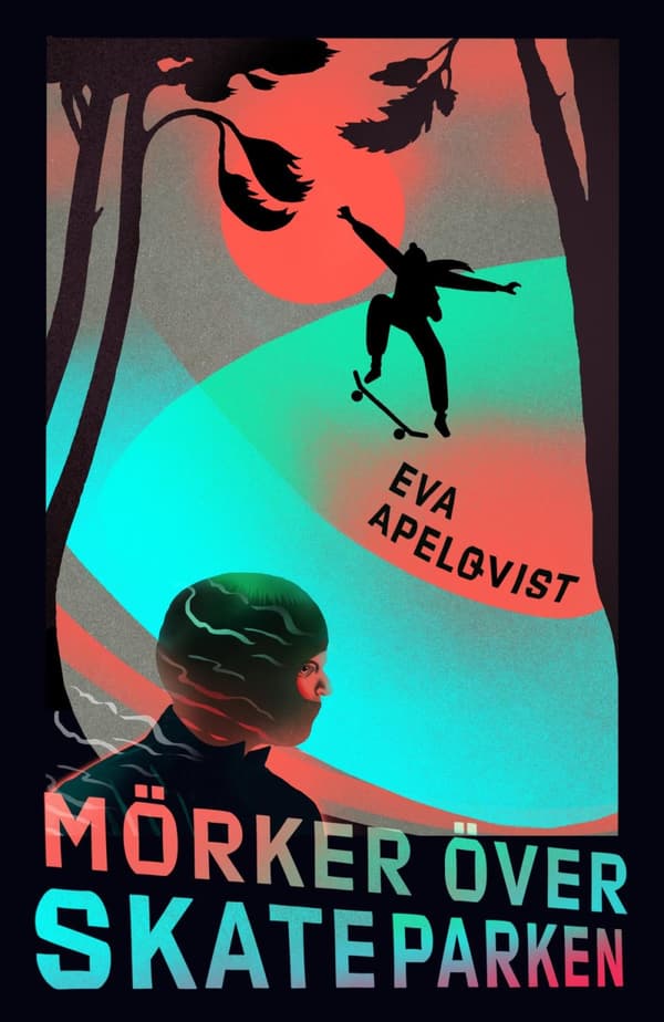 Mörker Över Skateparken (Bok)