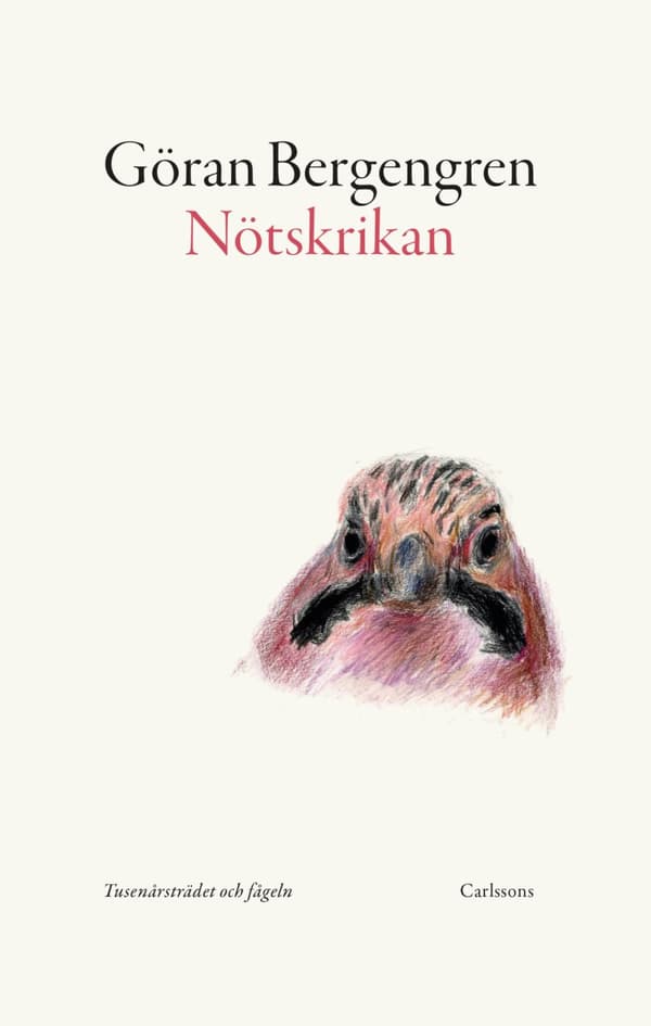 Nötskrikan - Tusenårsträdet Och Fågeln (Bok)