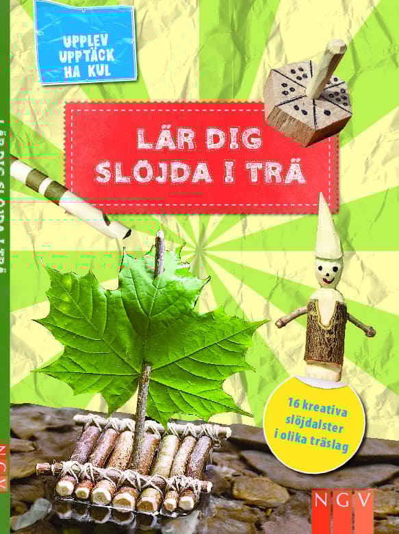Lär Dig Slöjda I Trä (Bok)