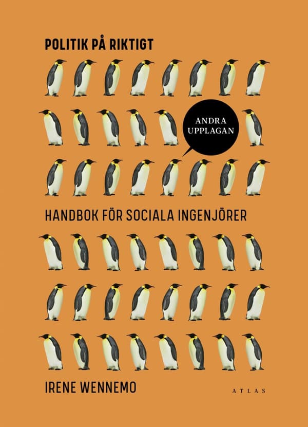 Politik På Riktigt - Handbok För Sociala Ingenjörer (Bok)