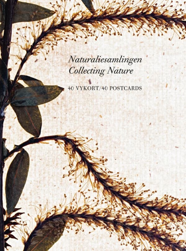 Naturaliesamlingen - Vykortslåda (Bok)