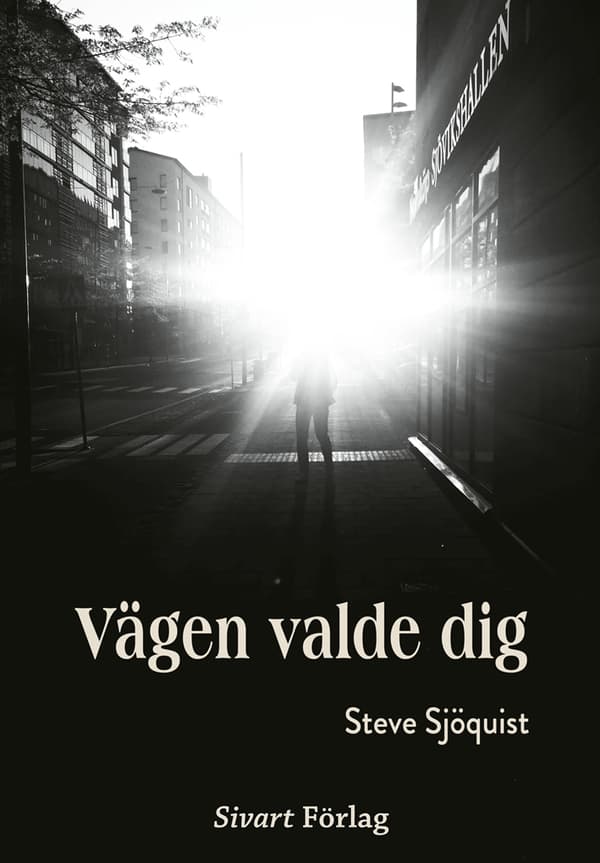 Vägen Valde Dig (Bok)