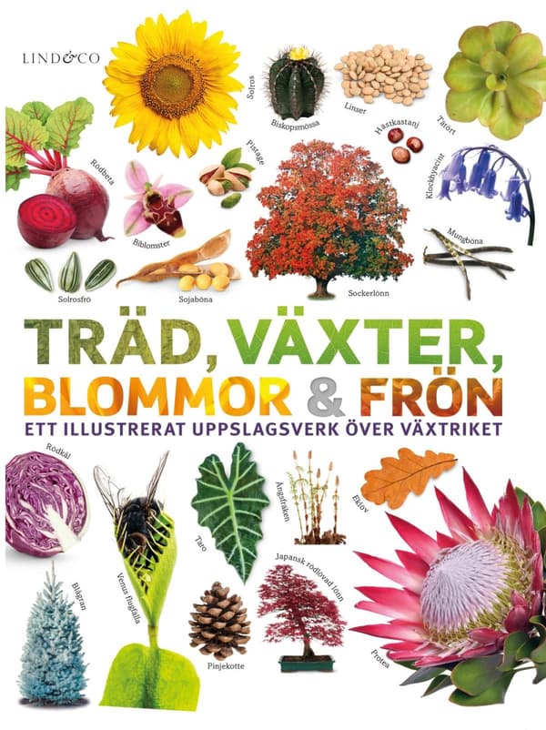Träd, Växter, Blommor Och Frön - Ett Illustrerat Uppslagsverk Över Växtriket (Bok)