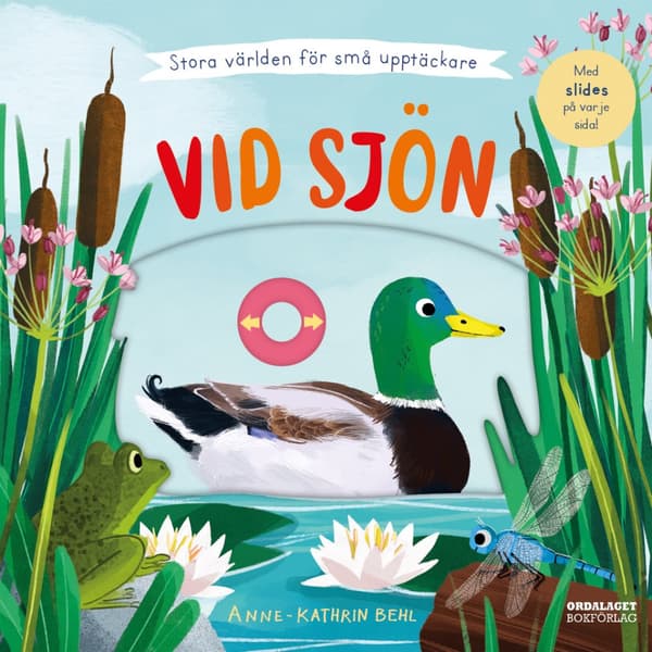 Vid Sjön (Bok)