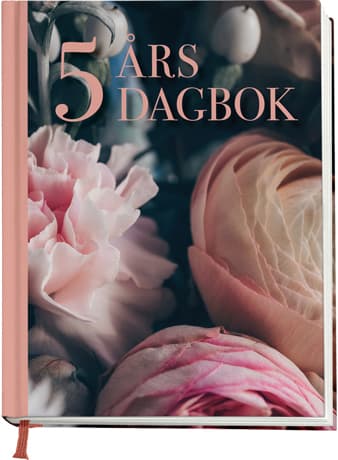 5 Års Dagbok (Bok)